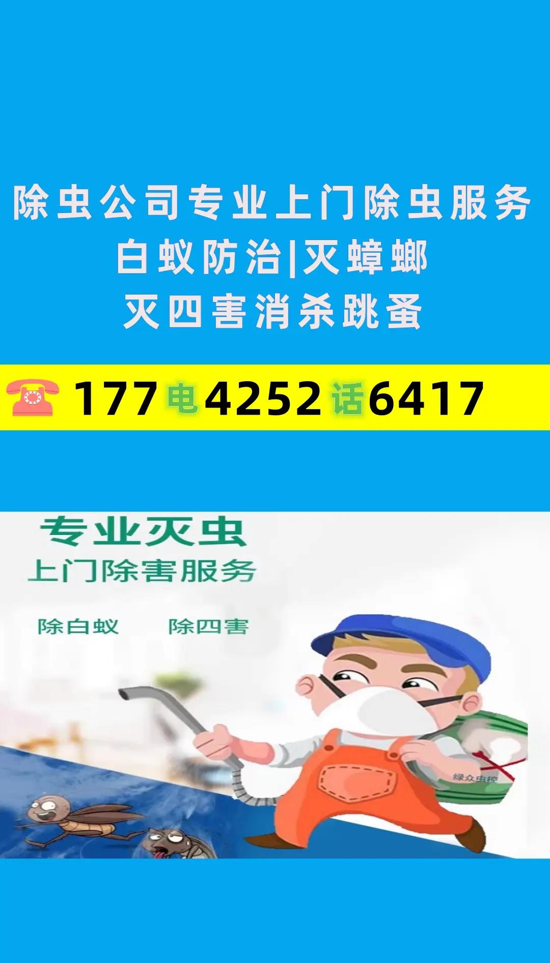 深圳福田区白蚁防治指南:家庭必备技巧与专业服务解析