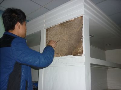 灭白蚁防治 福州优质白蚁防治服务指南及推荐