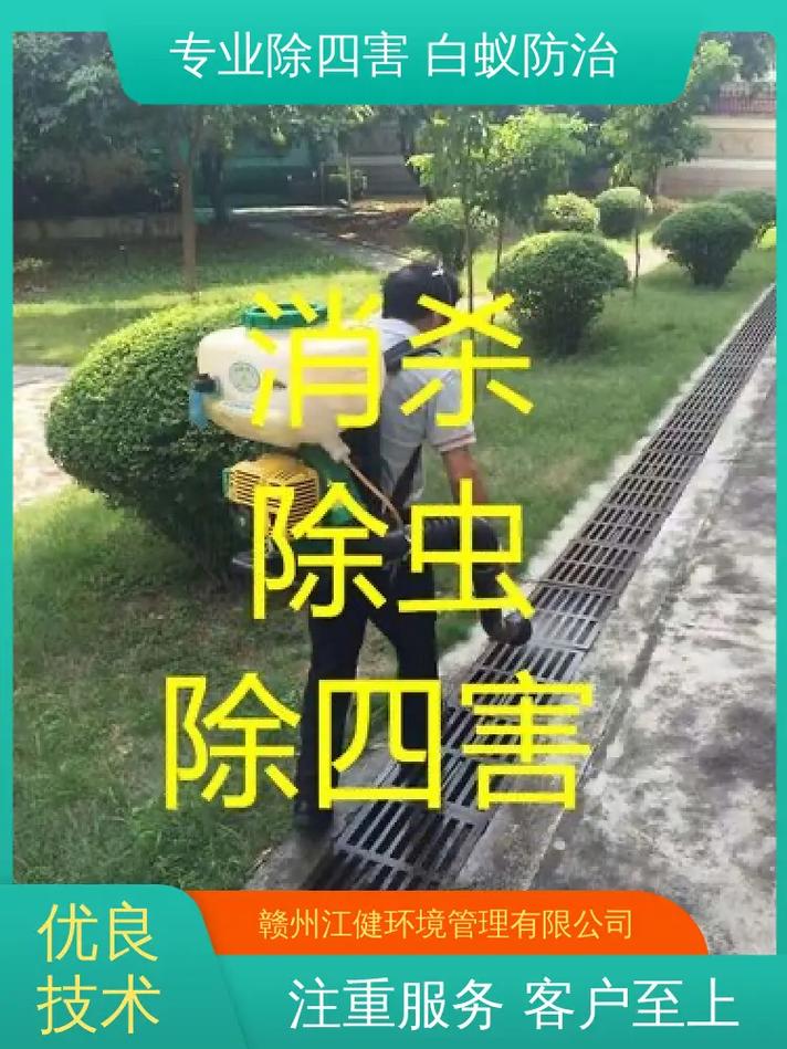 高效灭虫，守护家园——揭秘兴国白蚁防治服务