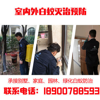 树上白蚁困扰？湖南巨恒灭白蚁公司为您一次解决，专业白蚁防治服务尽显高效