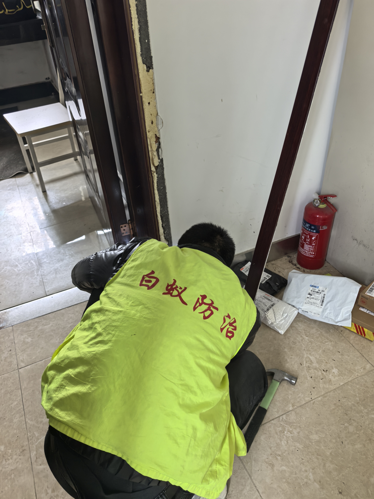 【实用指南】富阳区白蚁防治中心 便民服务电话与专业支援攻略