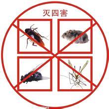 韶关白蚁防治全攻略 守护家居，从防蚁开始