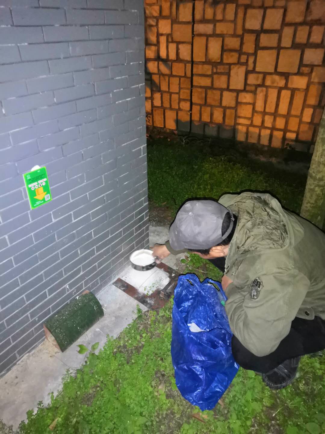 白蚁防治 简阳社区白蚁防治服务 欢迎咨询