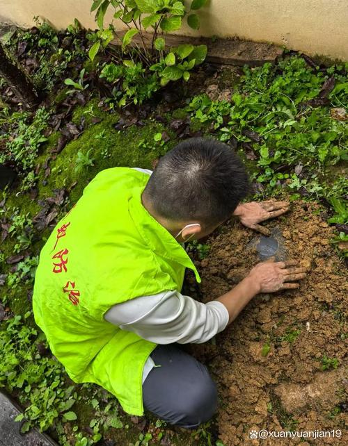 提醒!建德市白蚁防治所(站)官方电话及服务地址