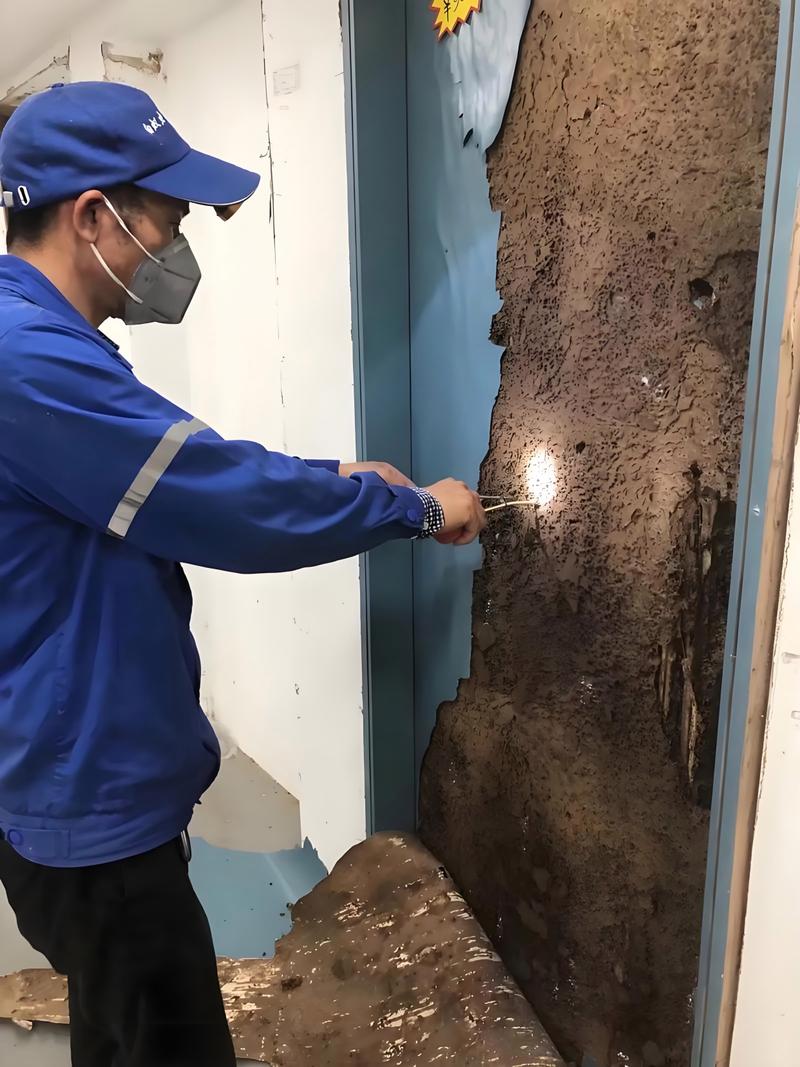 富阳区白蚁防治所电话